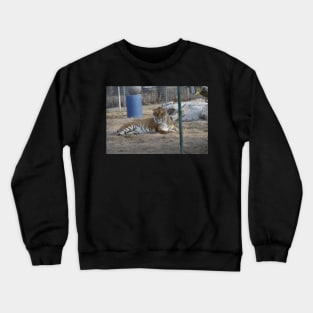 Tiger Crewneck Sweatshirt